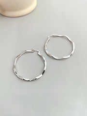 S925 silver sterling silver earrings