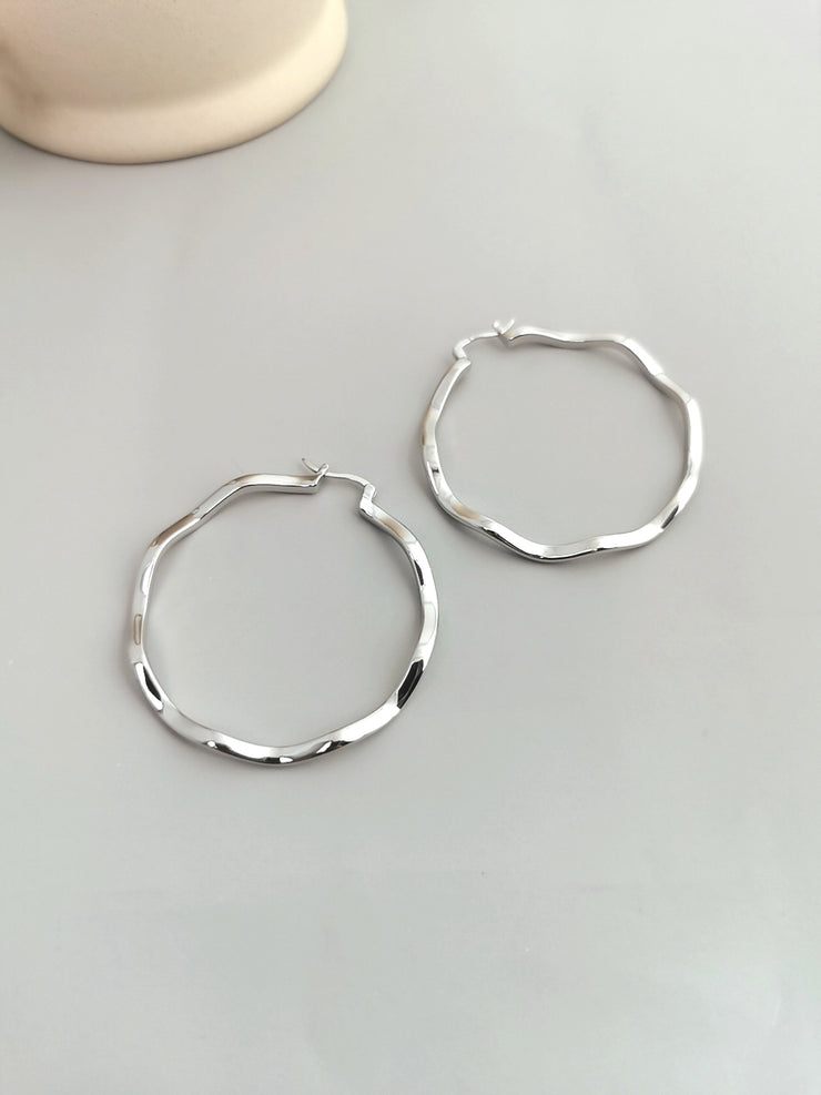 S925 silver sterling silver earrings