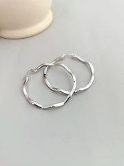 S925 silver sterling silver earrings