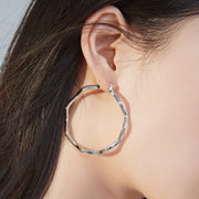 S925 silver sterling silver earrings